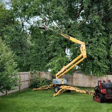 Best Lawn Mowing  in Hinckley, IL